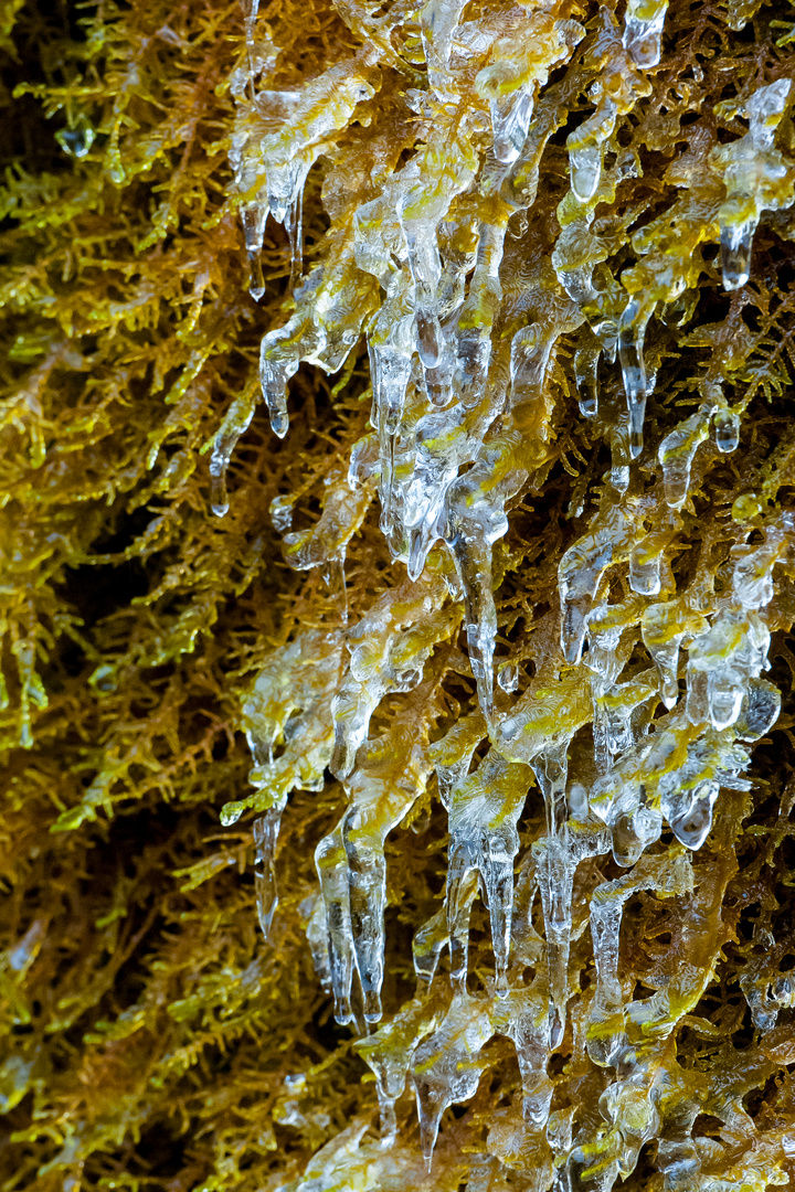 Am Wasserfall Dreimühlen/Eifel IV