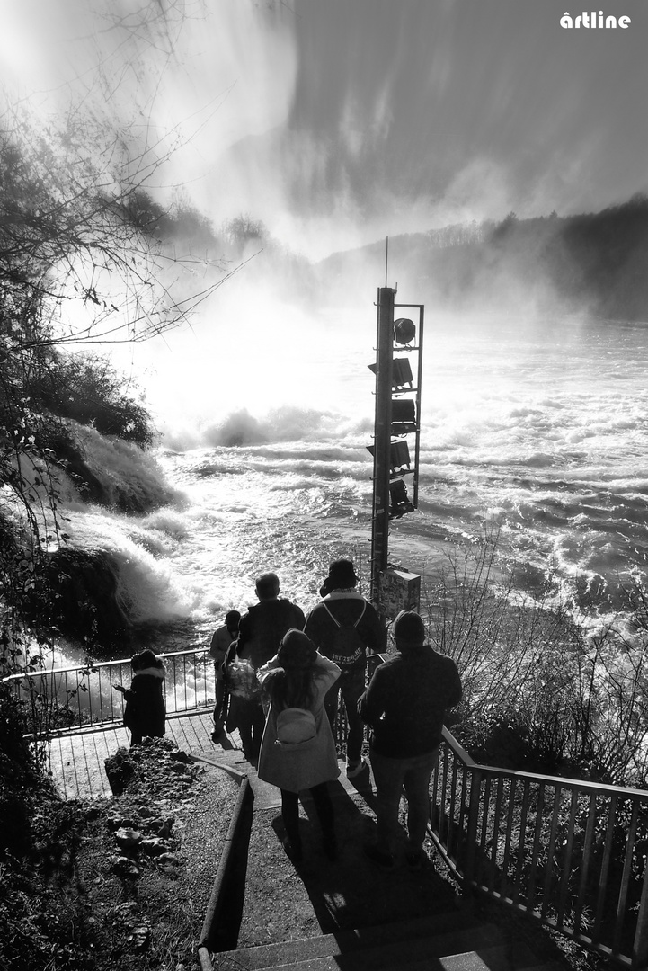 am Wasserfall (Rheinfall)