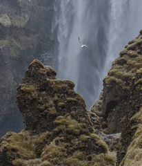 am Wasserfall Skogafoss