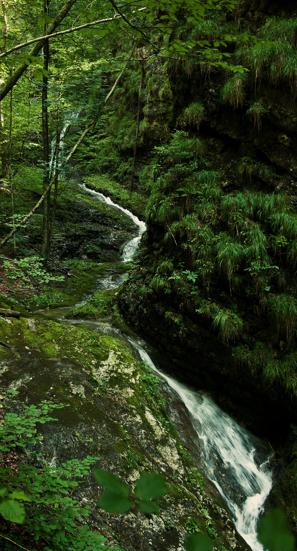 am Wasserfallweg