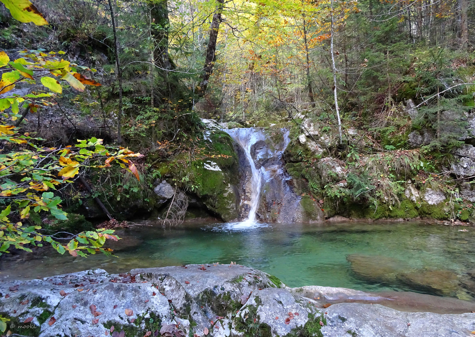 am Wasserfallweg bei Lofer