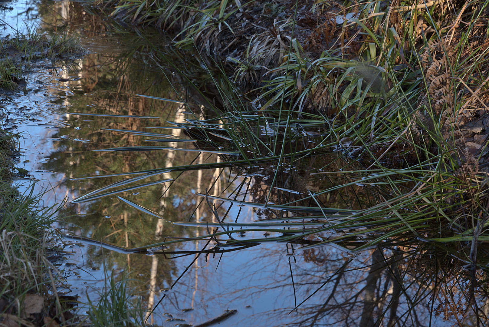 Am Wassergraben