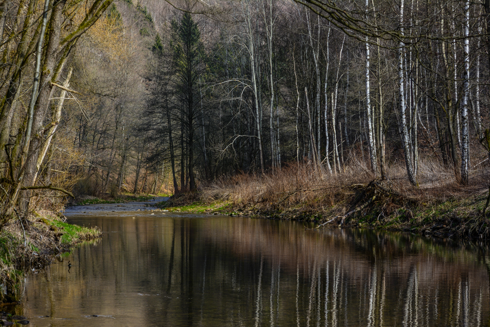 am Wasserlauf