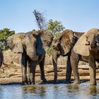 Am Wasserloch 02, 2019.09.18. - Mana Pools NP, Kavinga Camp