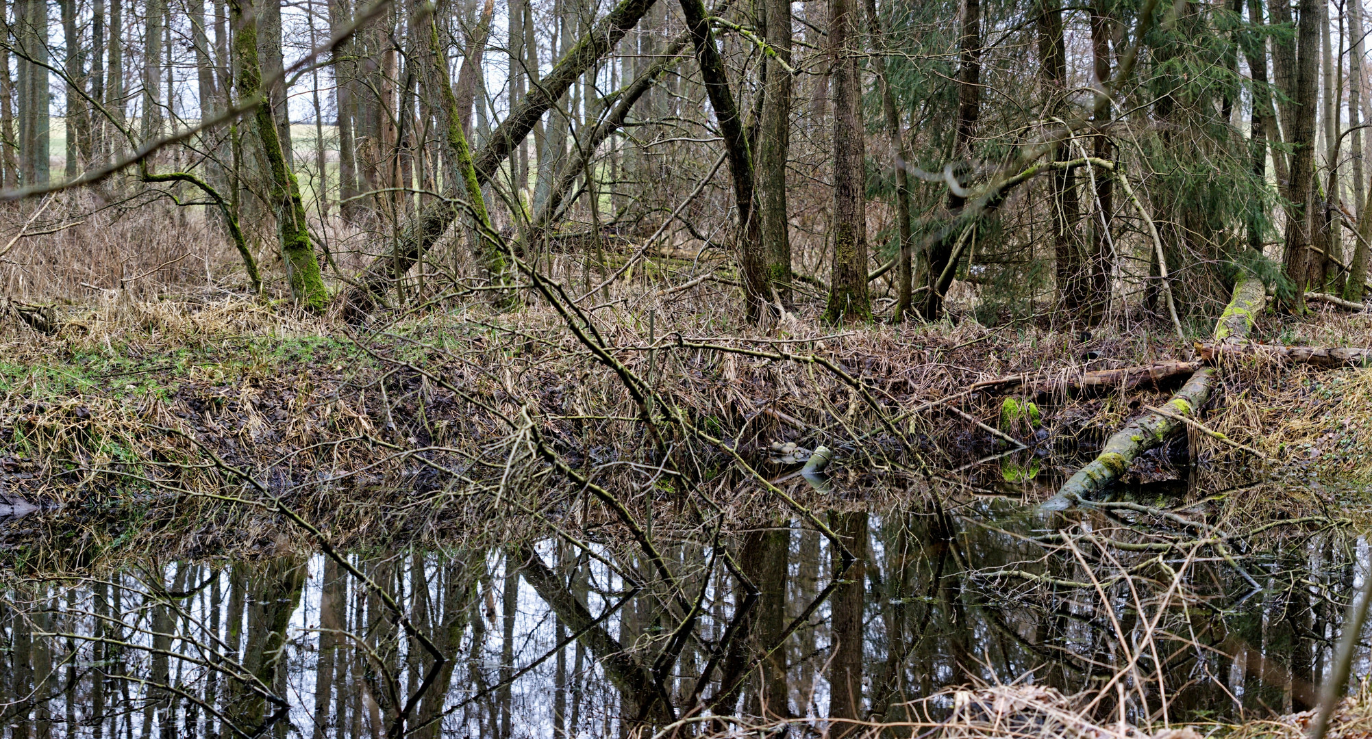 Am Wasserloch