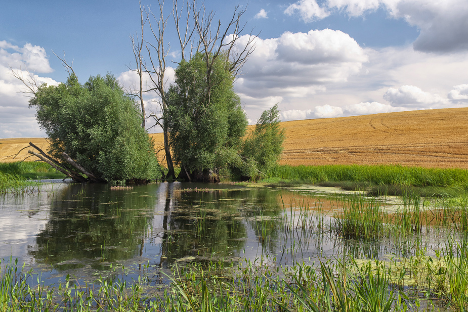 Am Wasserloch