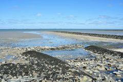 Am Watt auf Hallig Hooge