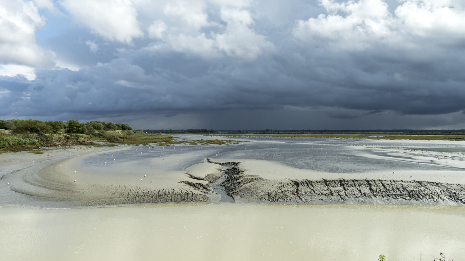 Am Watt der Baie de la Somme