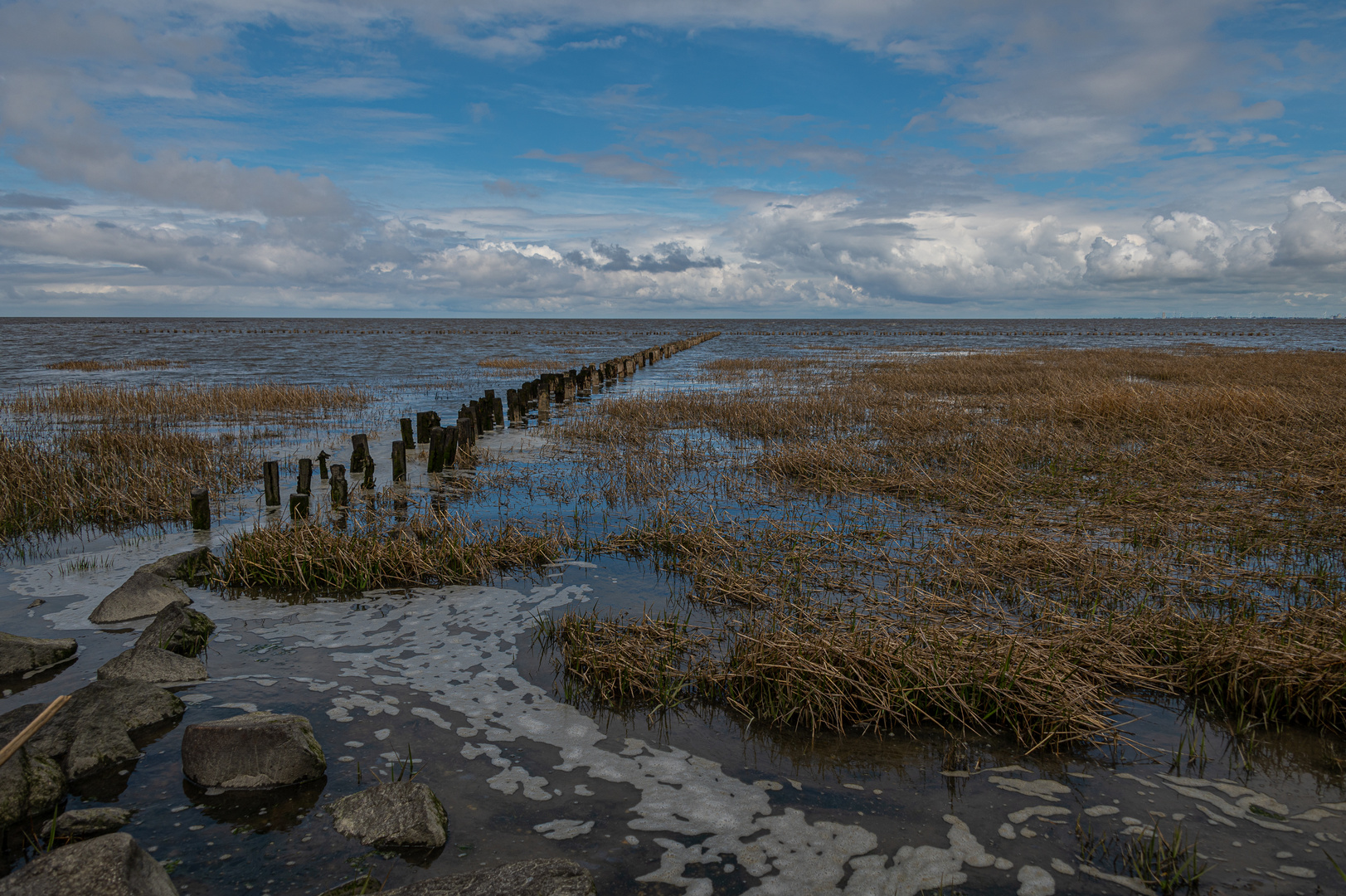 Am Wattenmeer