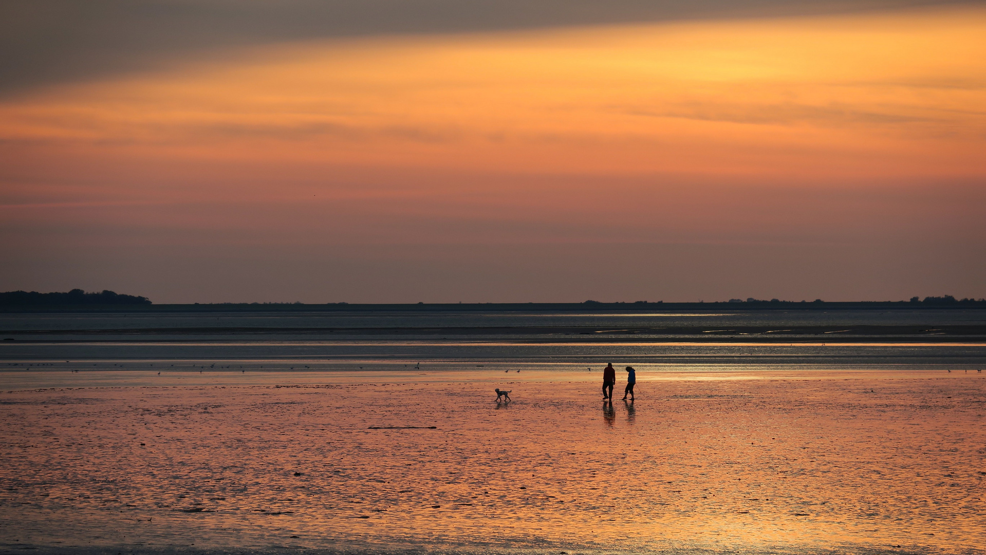 am Wattenmeer 2