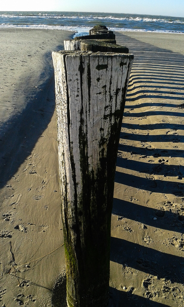 Am Wattenmeer