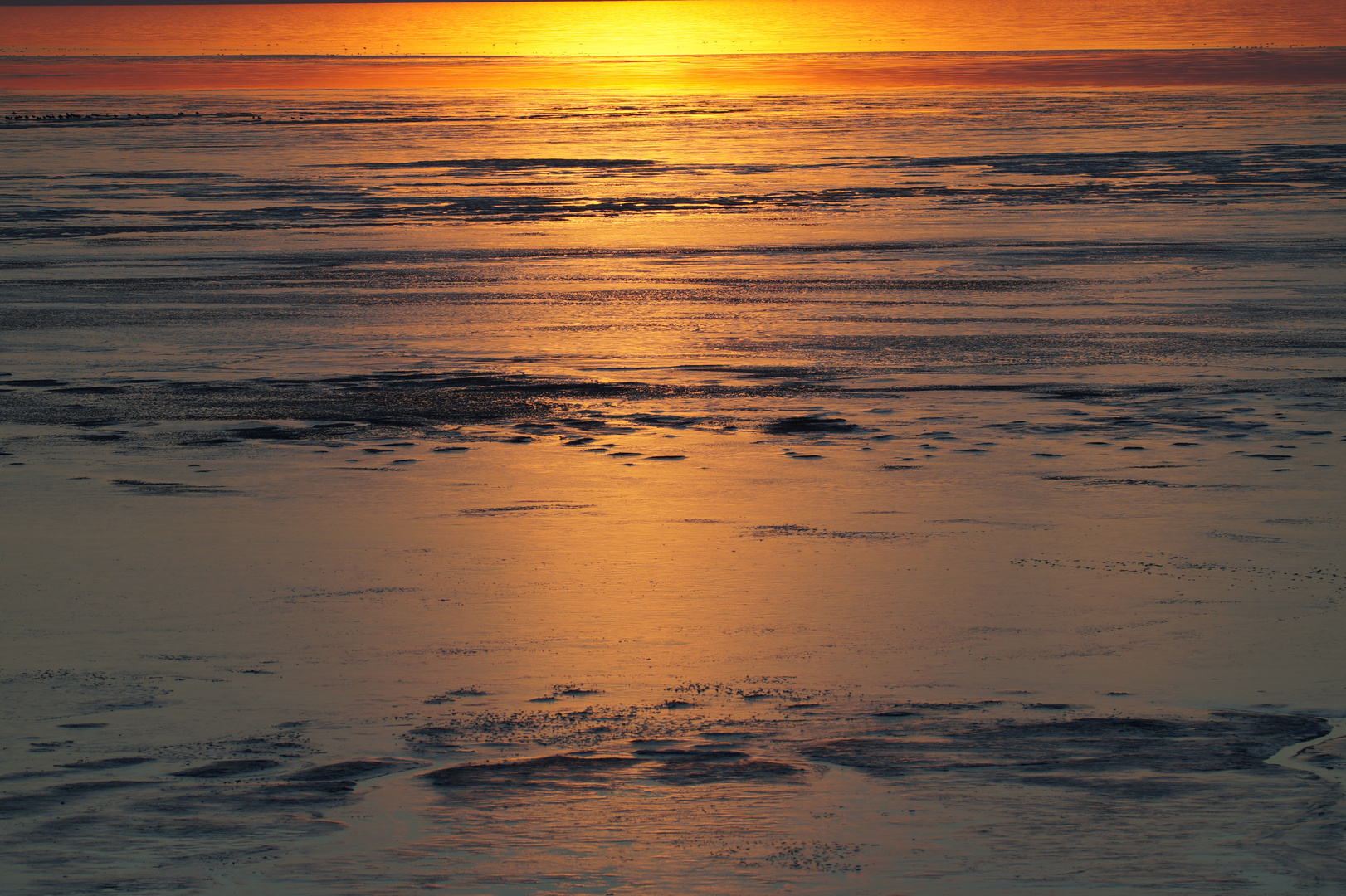 Am Wattenmeer