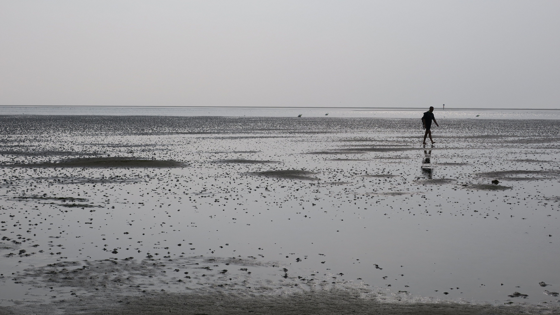 am Wattenmeer