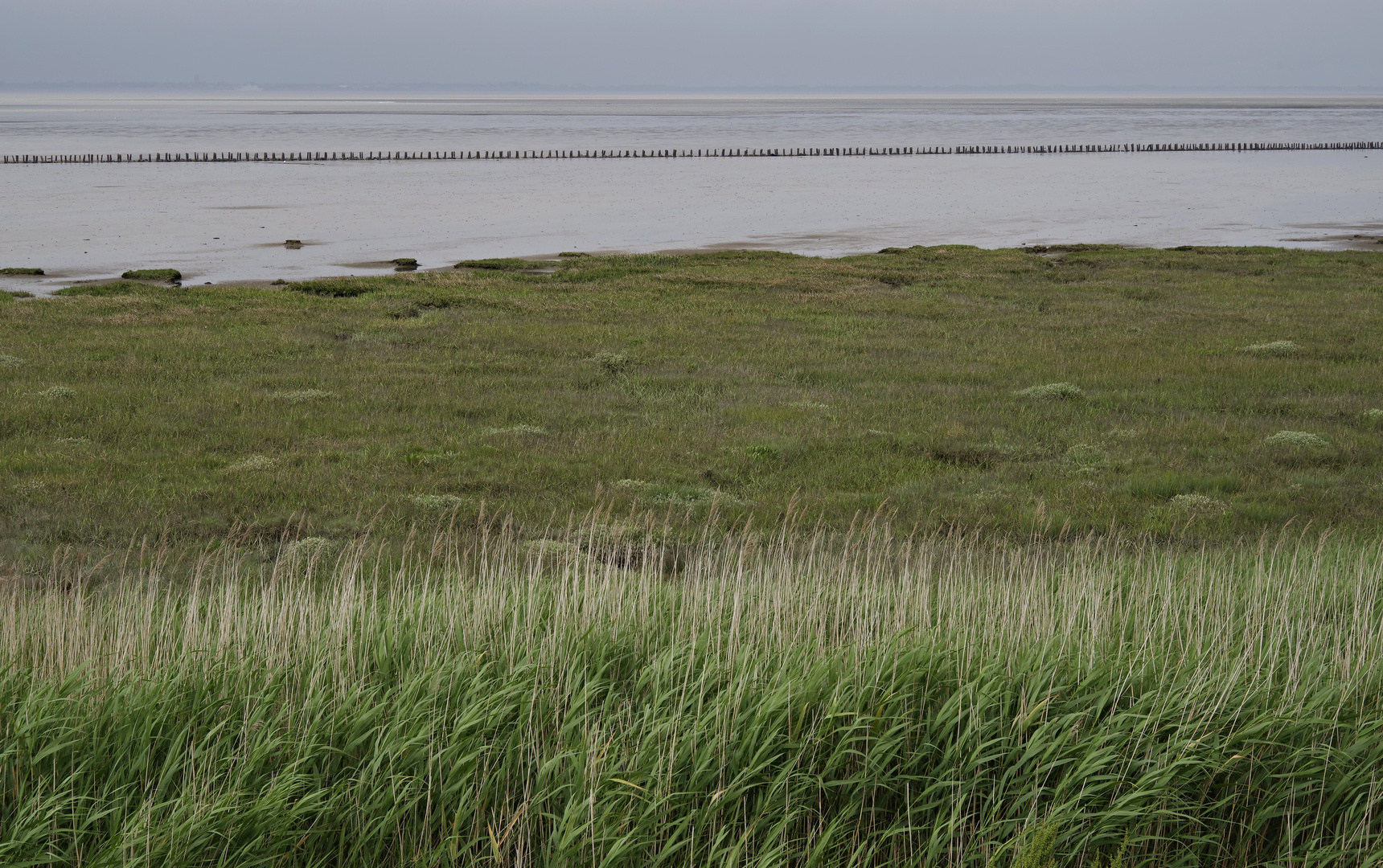 am Wattenmeer