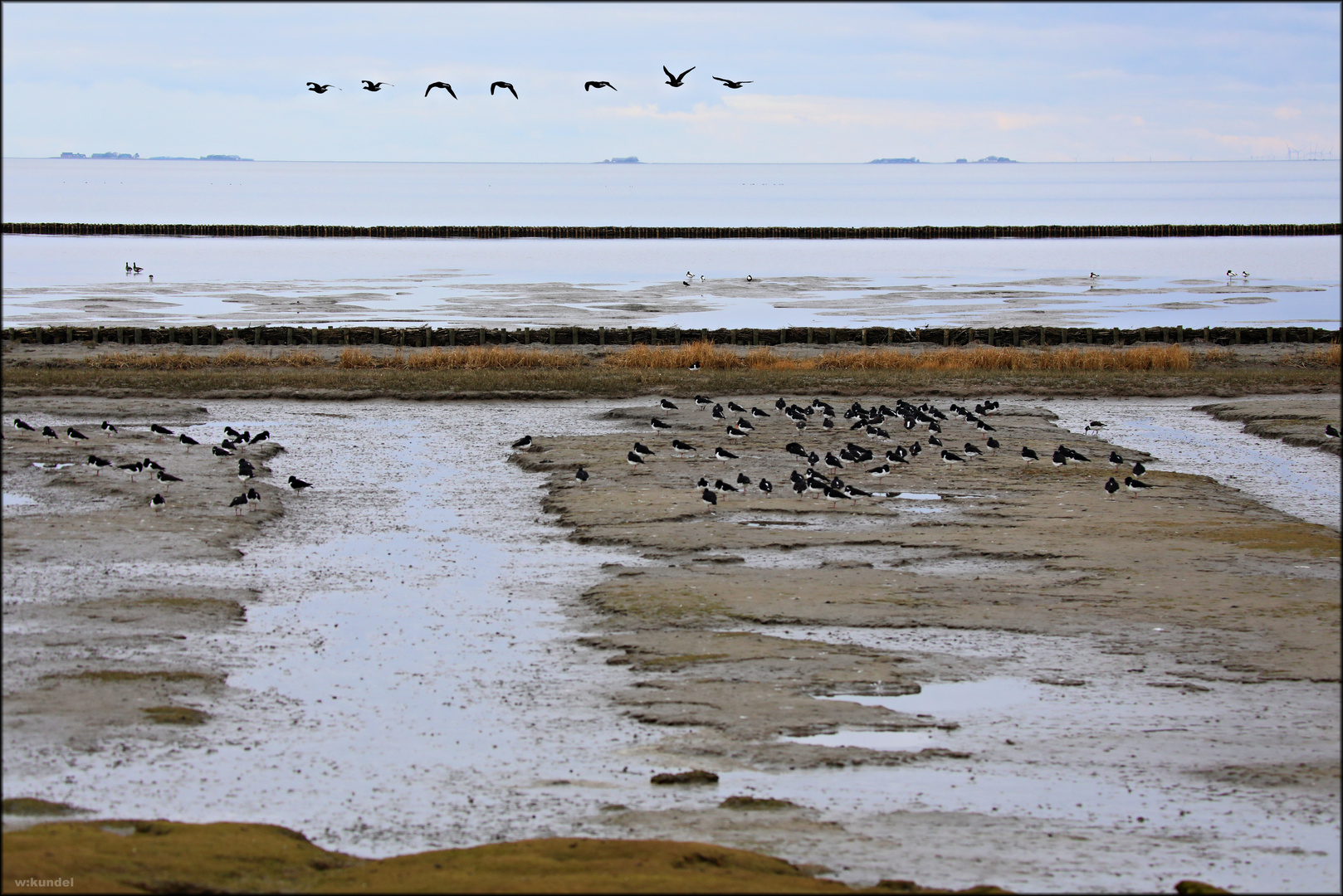 am Wattenmeer