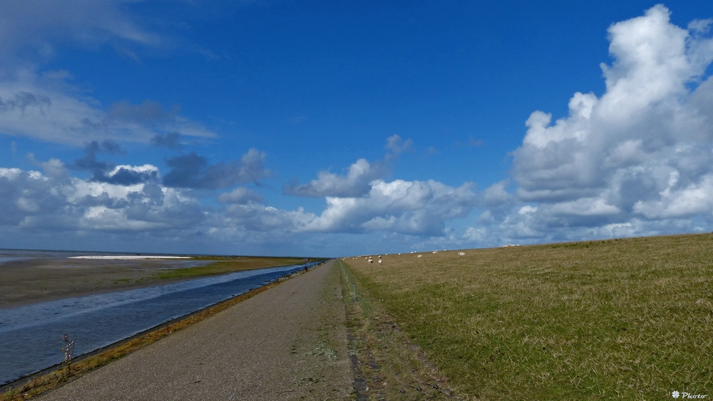 Am Wattenmeer...