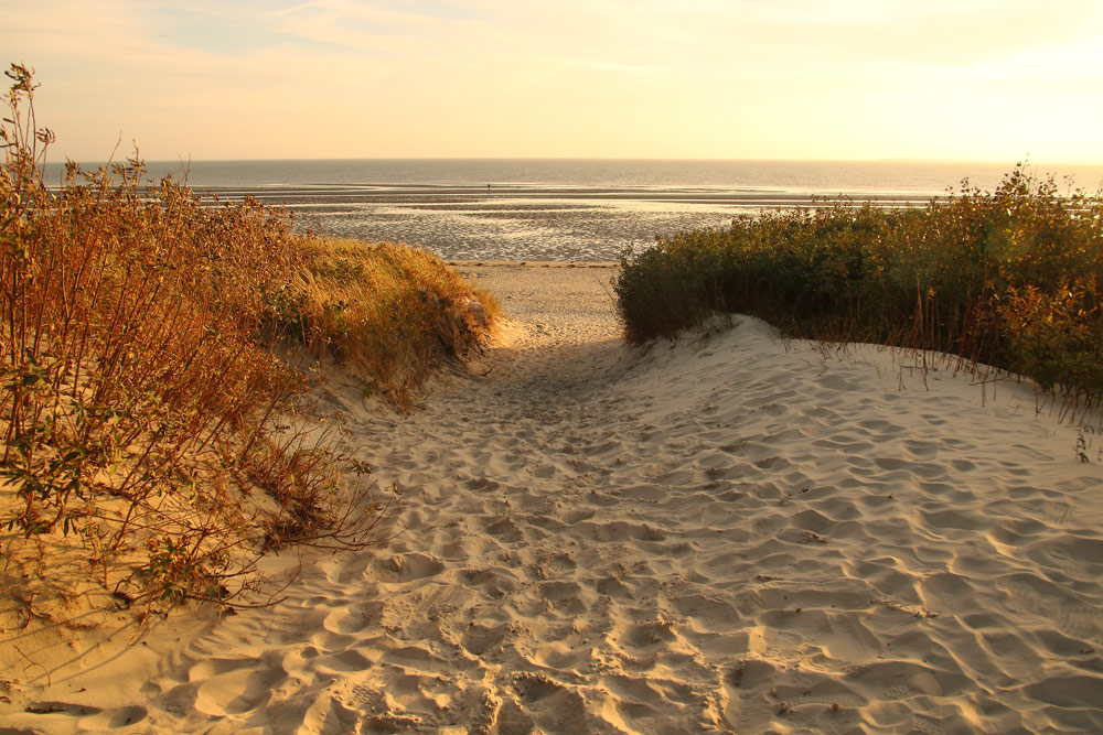 Am Wattenmeer