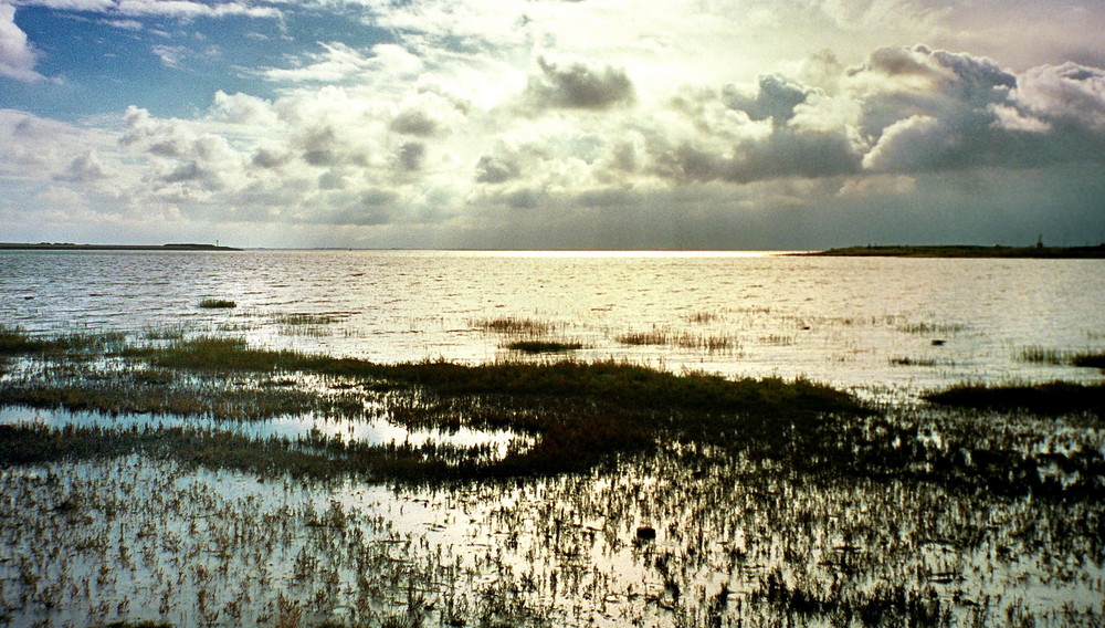 Am Wattenmeer