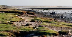 am wattenmeer - am rantumer becken sieht das watt ganz anders aus