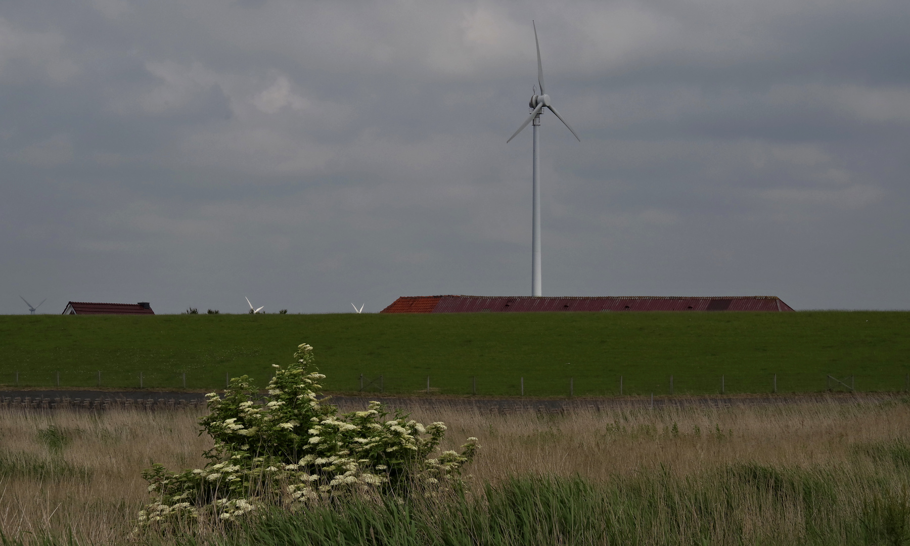 am Wattenmeer