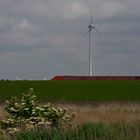 am Wattenmeer