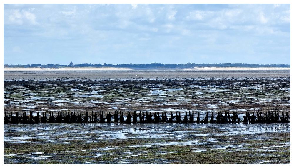 Am Wattenmeer bei Norddorf