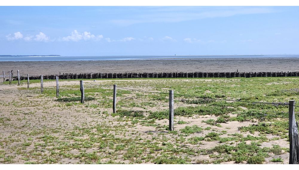 Am Wattenmeer bei Norddorf II