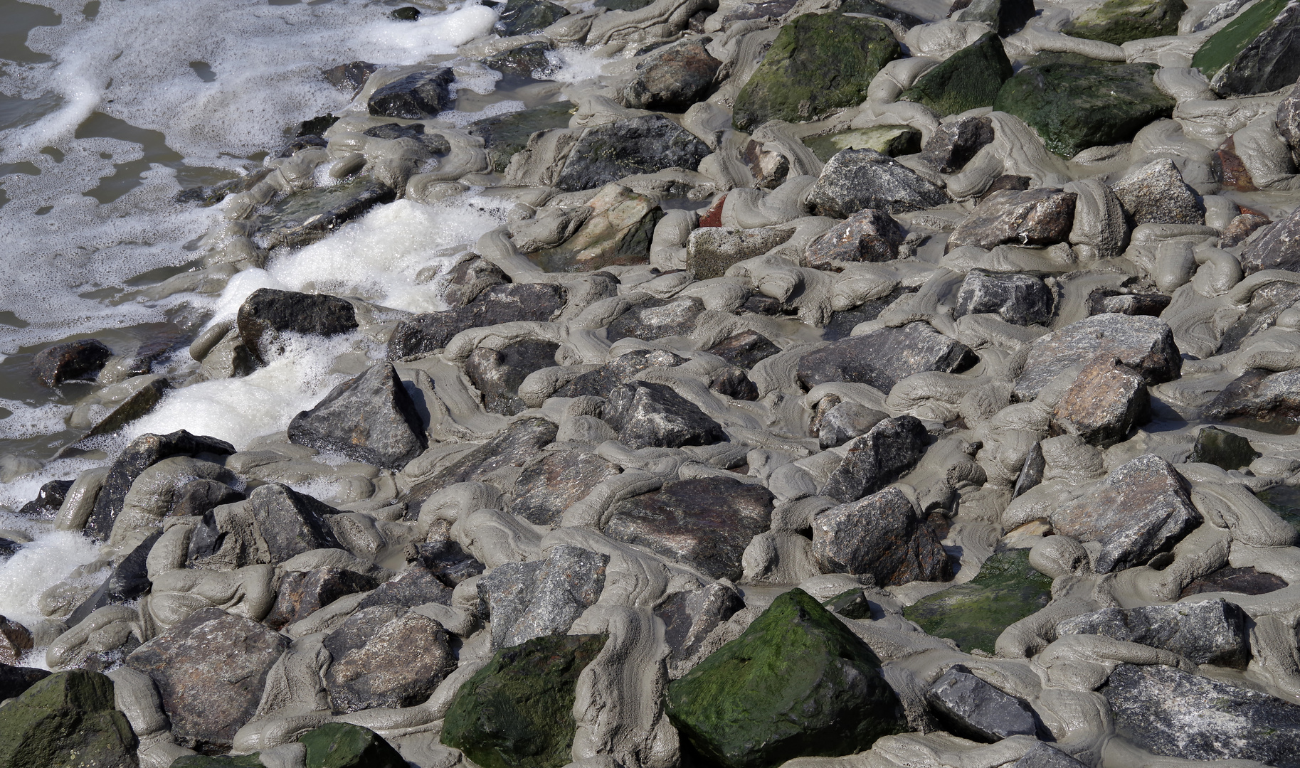 am Wattenmeer