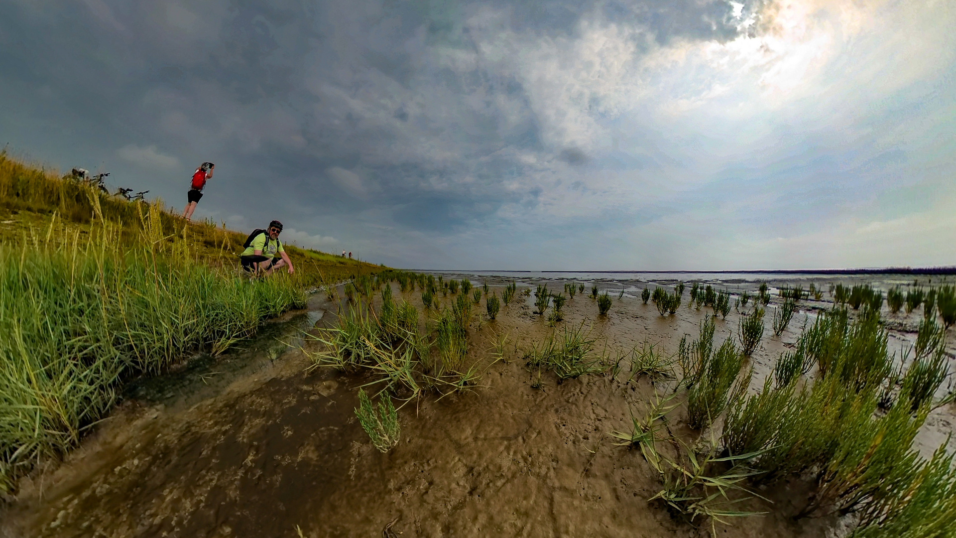 Am Wattenmeer geschaut