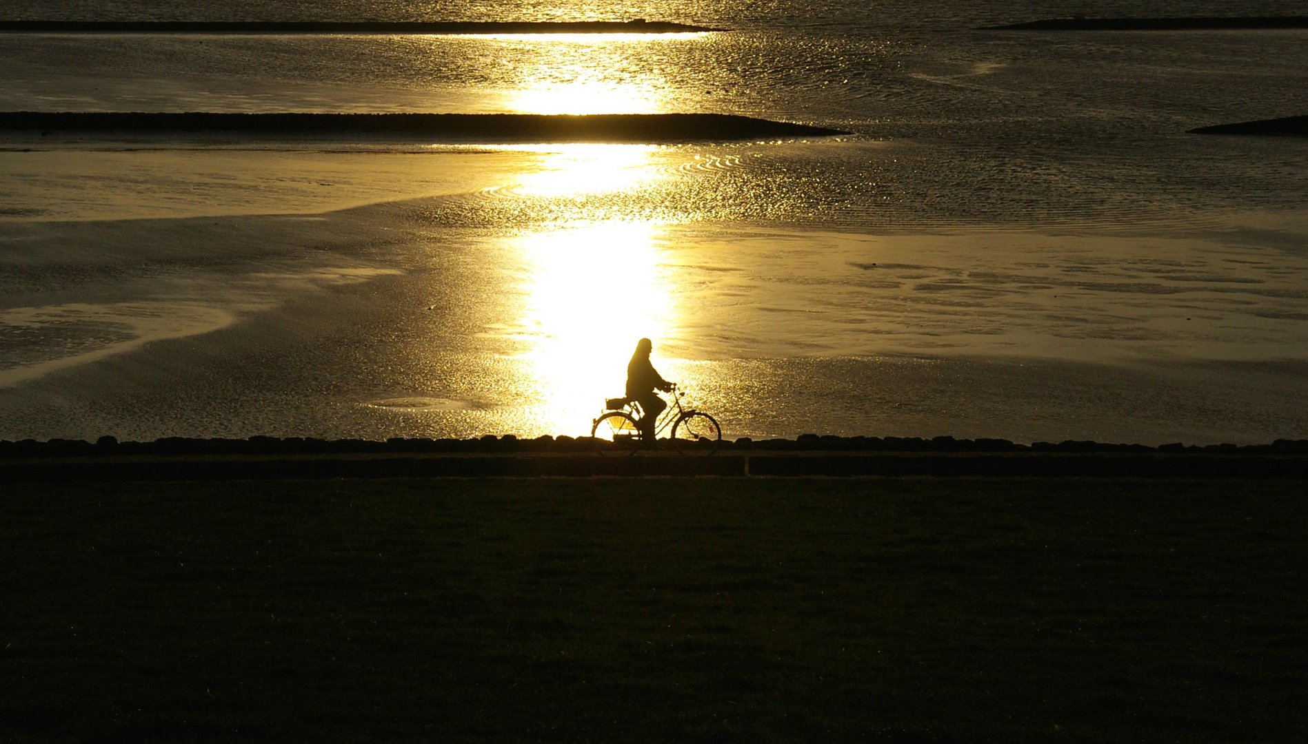 Am Wattenmeer in Ostfriesland.......Weltnaturerbe der Unesco