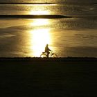 Am Wattenmeer in Ostfriesland.......Weltnaturerbe der Unesco