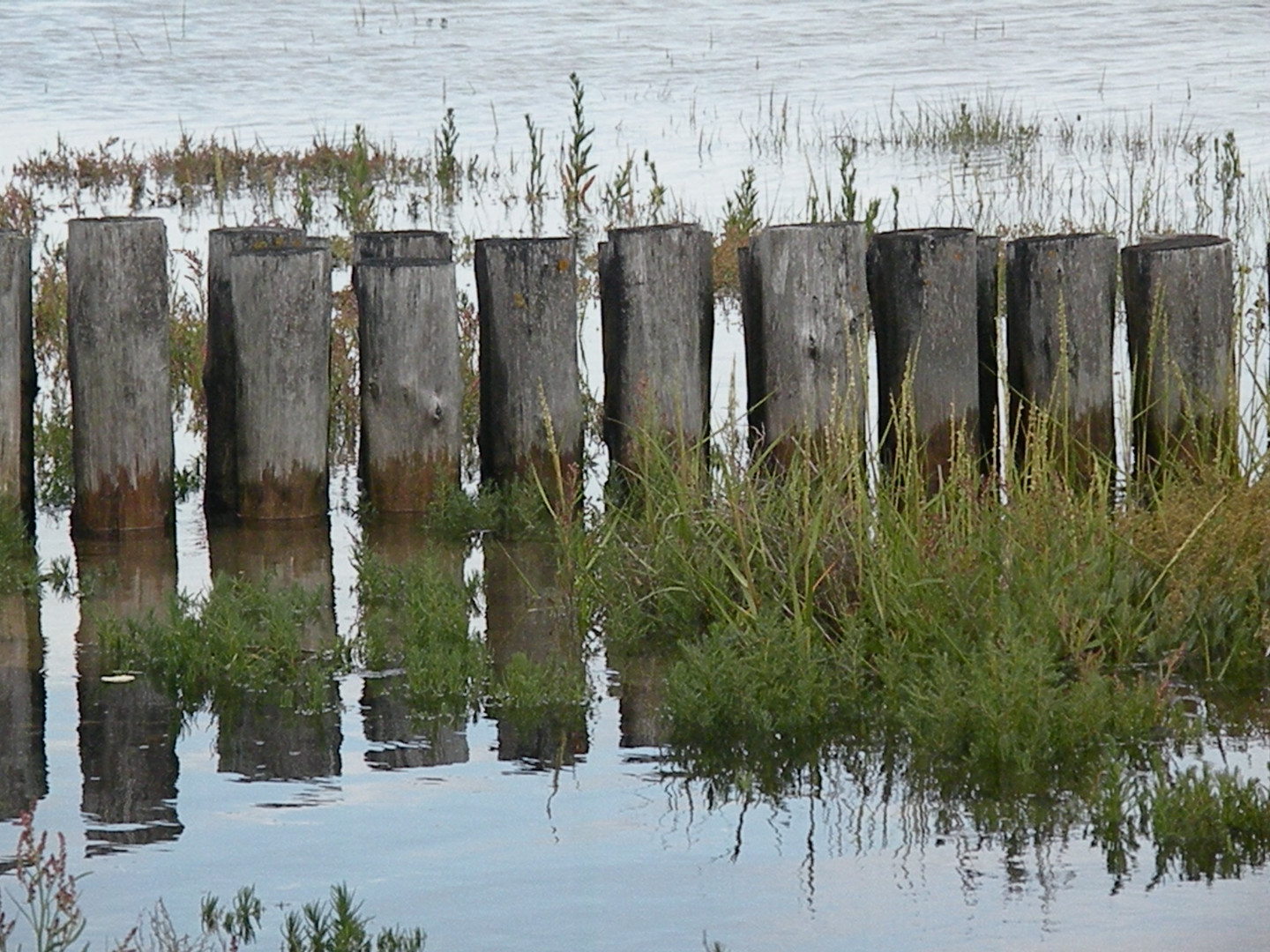 Am Wattenmeer no. 1 |  at the wadden sea no. 1