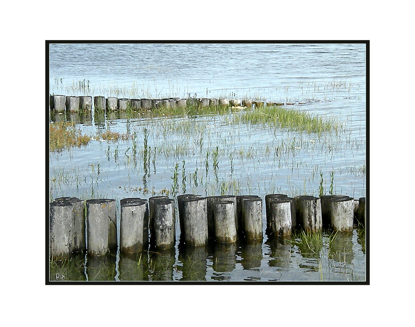 Am Wattenmeer no. 2  |  at the wadden sea no. 2