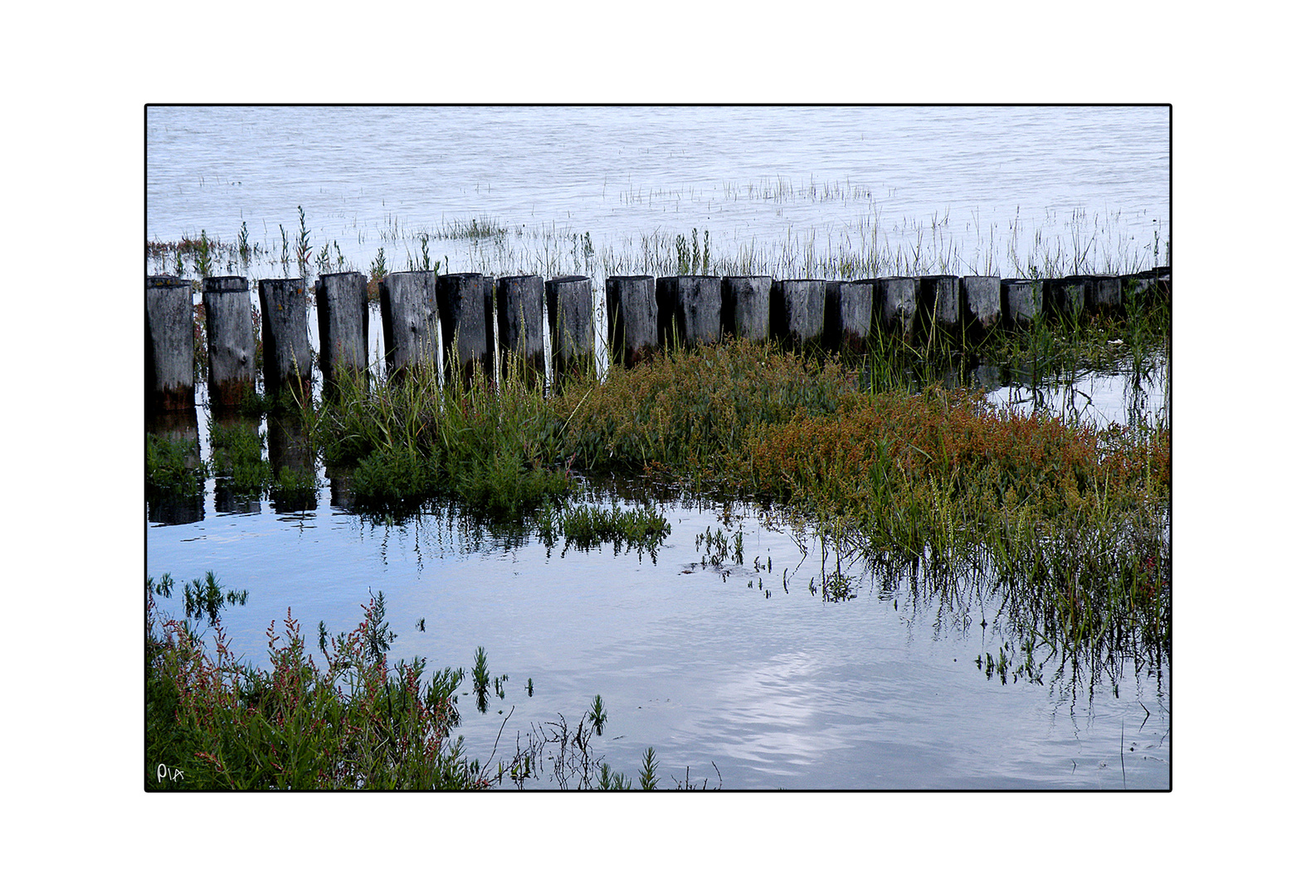 Am Wattenmeer no. 3  |  at the wadden sea no. 3