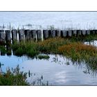 Am Wattenmeer no. 3  |  at the wadden sea no. 3