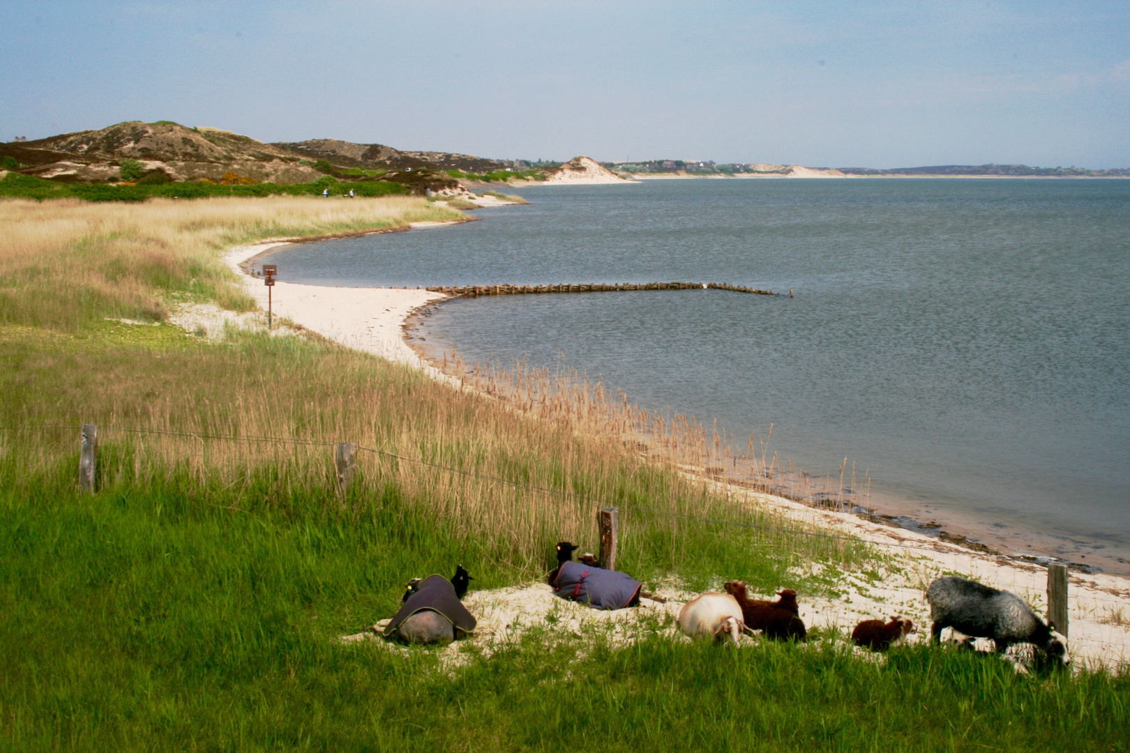 Am Wattenmeer zwischen Kampen und List