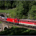 Am Weberkogel Tunnel.