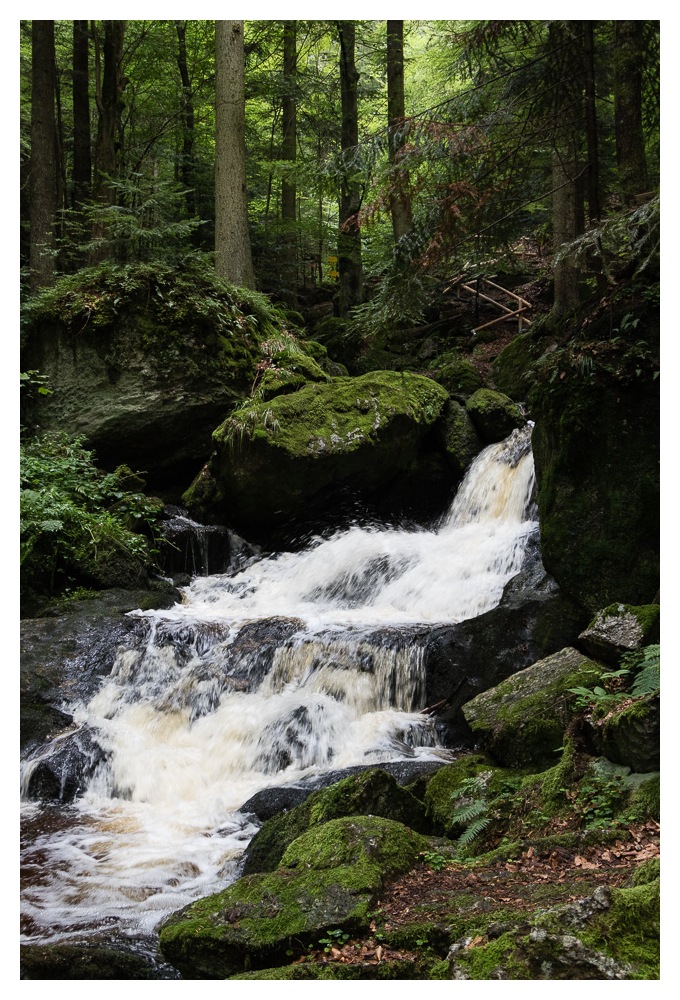 Am Weg durch die Ysperklamm