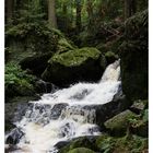 Am Weg durch die Ysperklamm