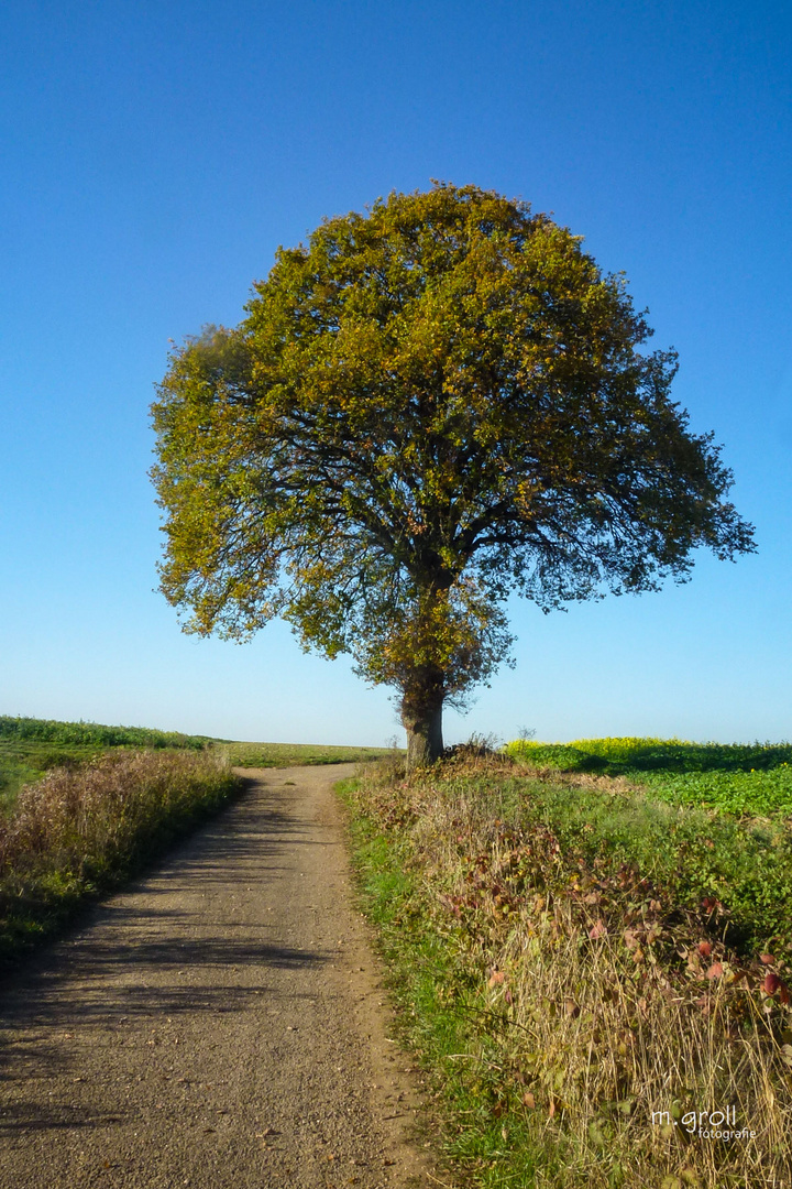 Am Weg