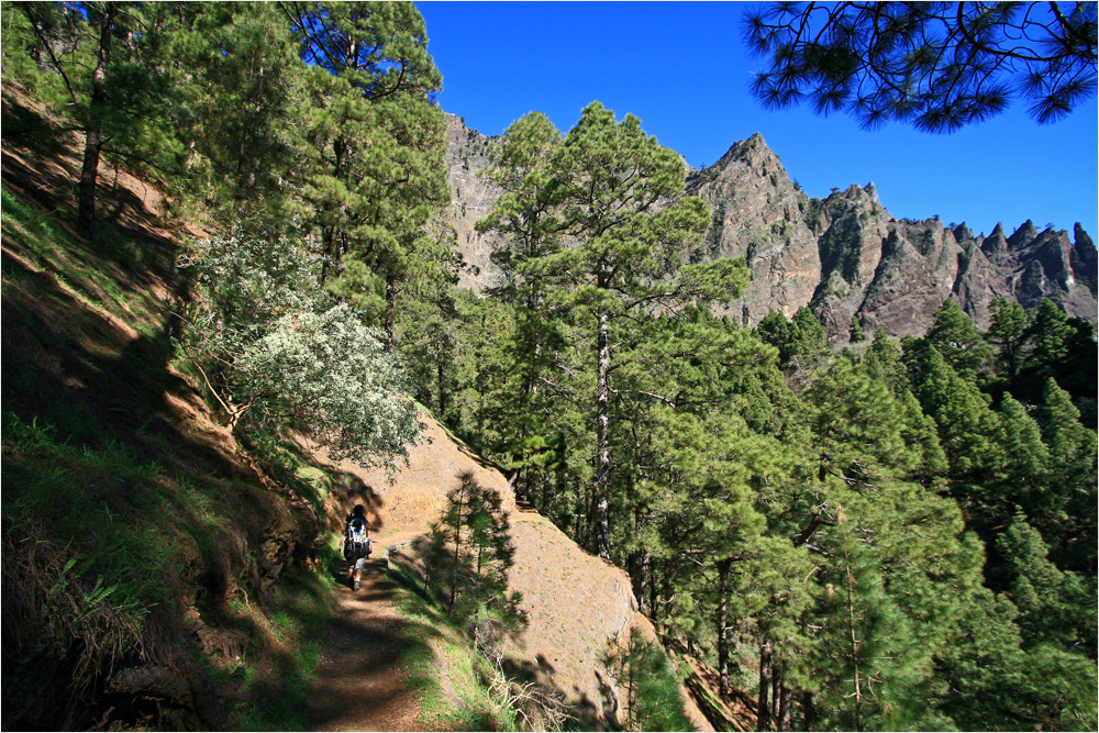 Am Weg in die Caldera de Taburiente 2