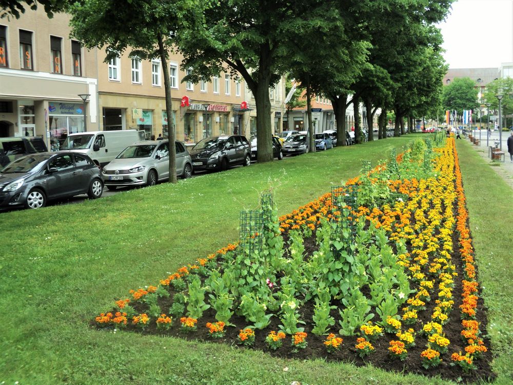 Am Weg in die Innenstadt von  Bayreuth