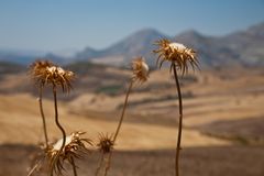 Am Weg nach Antequera