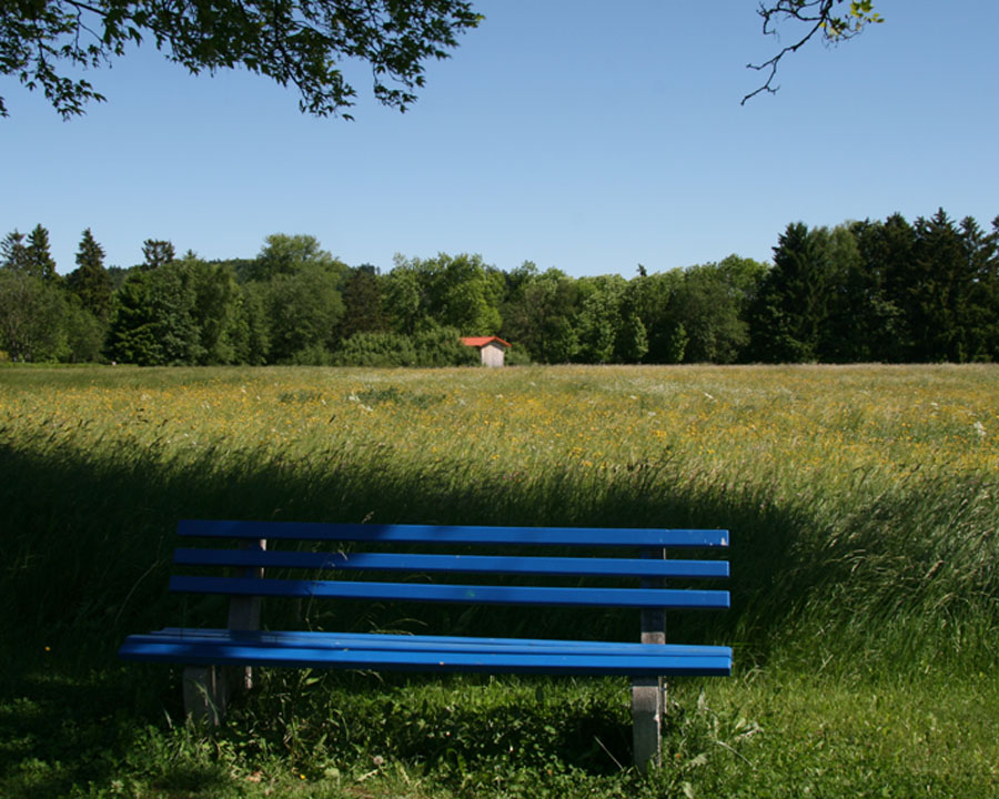 Am Weg nach Hüttenbühl