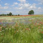 Am Weg nach Lassan