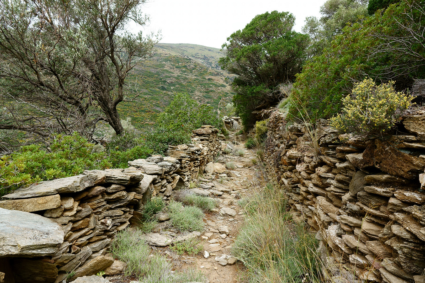 am Weg Nr. 13 auf der Insel Andros