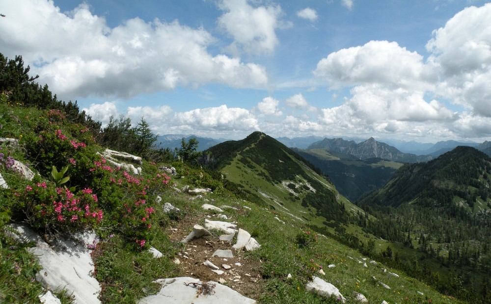 .. am Weg von Hohen Zinken zum Osterhorn ..