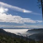 Am Weg zu Aussichtsturm Göbelberg