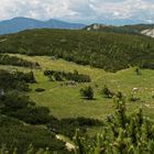 am Weg zu Riederhütte