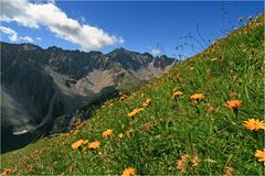 am Weg zum "Falschen Kogel" Lechtaler